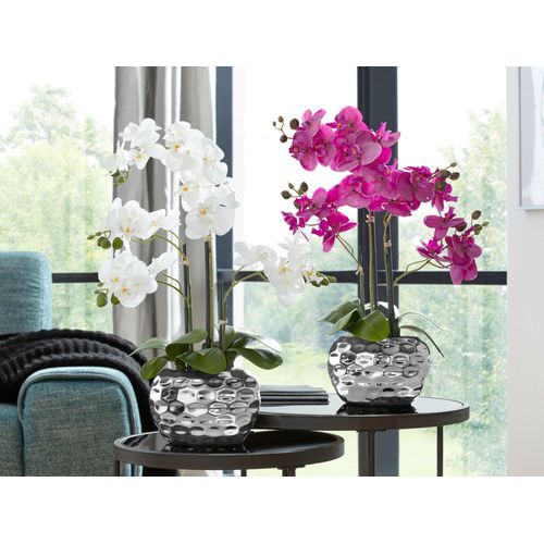 4003529843154 - Kunstpflanze CREATIV GREEN Orchidee Kunstpflanzen Gr H 55 cm 1 St weiß Kunstorchidee Kunstpflanze Künstliche Zimmerpflanzen Kunstpflanzen 4003529843154 - Kunstpflanze CREATIV GREEN Orchidee Kunstpflanzen Gr H 55 cm 1 St weiß Kunstorchidee Kunstpflanze Künstliche Zimmerpflanzen Kunstpflanzen