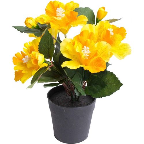8505451848024 - Kunstblume BOTANIC-HAUS Hibiskus im Topf Kunstpflanzen Gr Ø H 20 cm x 27 cm 1 St gelb Kunst-Blumen 8505451848024 - Kunstblume BOTANIC-HAUS Hibiskus im Topf Kunstpflanzen Gr Ø H 20 cm x 27 cm 1 St gelb Kunst-Blumen