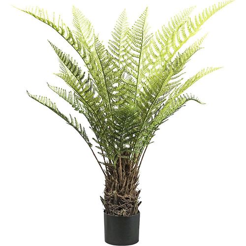 4064118108870 - Baumfarn Dicksonia Kunststofftopf Höhe 1150 mm 4064118108870 - Baumfarn Dicksonia Kunststofftopf Höhe 1150 mm