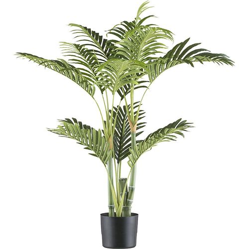 4064118191292 - Bambuspalme Kunststofftopf Höhe 1000 mm kaiserkraft 4064118191292 - Bambuspalme Kunststofftopf Höhe 1000 mm kaiserkraft