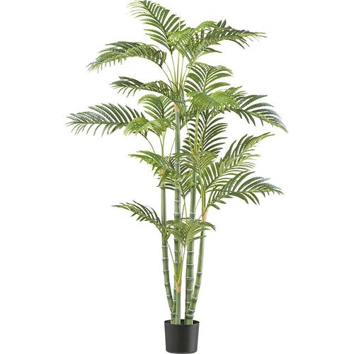 4064118191322 - Bambuspalme Kunststofftopf Höhe 1550 mm 4064118191322 - Bambuspalme Kunststofftopf Höhe 1550 mm