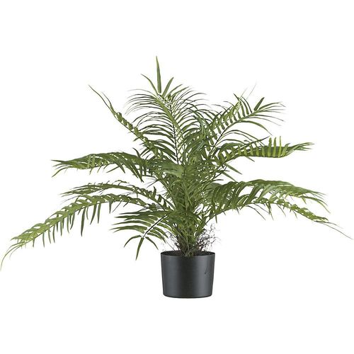 4064118192831 - Areca Palmbusch Kunststofftopf Höhe 700 mm