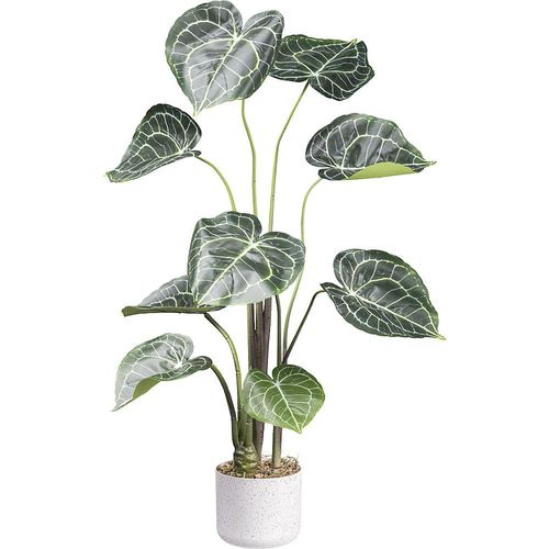 4064118110491 - Anthurium clarinervium Melamintopf Höhe 1000 mm