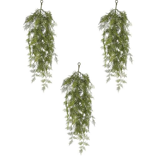 4064118274919 - Asparagus setaceus Hänger VE 3 Stk Höhe 900 mm