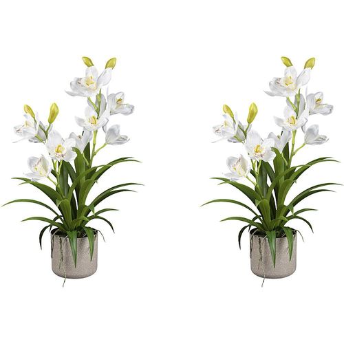 4064118274551 - Künstliche Orchidee Cymbidium VE 2 Stk Höhe 580 mm 4064118274551 - Künstliche Orchidee Cymbidium VE 2 Stk Höhe 580 mm