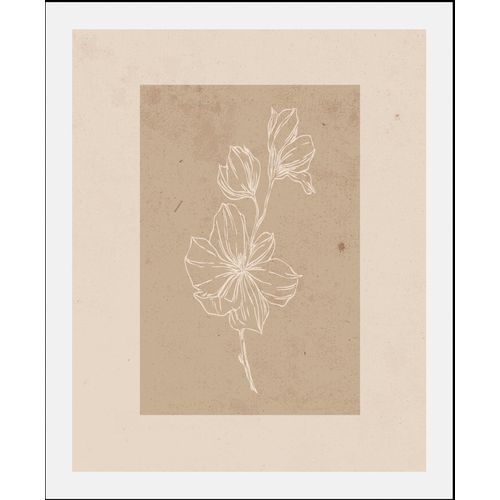 4067437347227 - Bild QUEENCE Havanna Bilder Gr B H 40 cm x 50 cm Wandbild Hochformat 1 St beige Kunstdrucke gerahmt