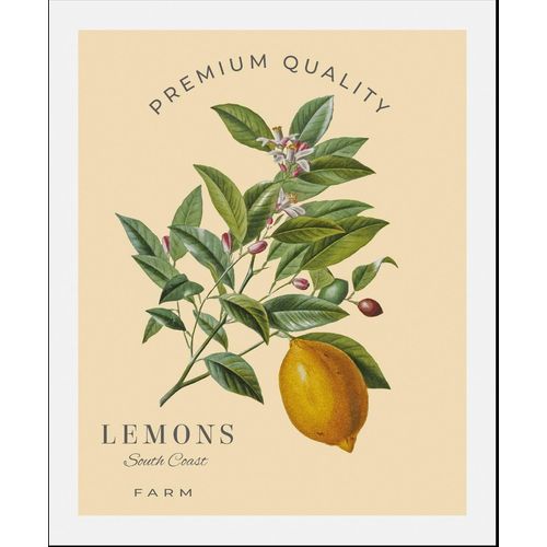 4067437335699 - Bild QUEENCE Lemons Bilder Gr B H 50 cm x 70 cm Wandbild Hochformat 1 St gelb Kunstdrucke gerahmt