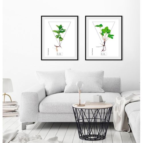 4049009843818 - Bild QUEENCE Clover Bilder Gr B H 30 cm x 40 cm Wandbild Hochformat 1 St grün Bild Kunstdruck Bilder mit Rahmen