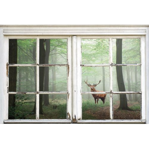 4067437001365 - Leinwandbild QUEENCE Wald Bilder Gr B H 20 cm x 30 cm Natur-Bäume-Tiere-Hirsch-Hirschbilder-Landschaft-Wald-Waldbilder Querformat 1 St beige (natur) Leinwandbilder Premium-Leinwandstoff