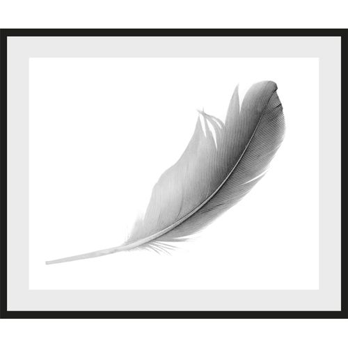 4049009915430 - Bild QUEENCE Madita Bilder Gr B H 40 cm x 30 cm Wandbild Federn Querformat grau (schwarz) Kunstdrucke Federn gerahmt