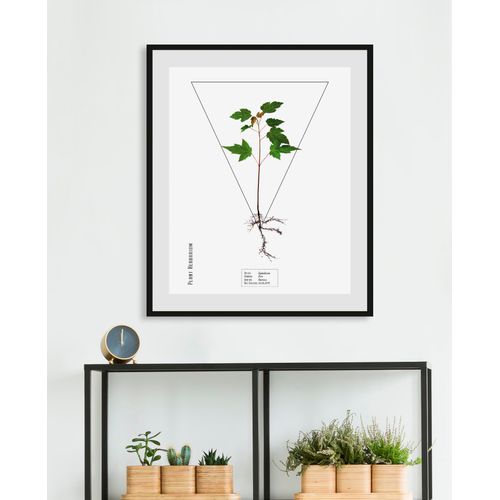 4049009843894 - Bild QUEENCE Sapindacea Bilder Gr B H 50 cm x 70 cm Wandbild Hochformat 1 St grün Bild Kunstdruck Bilder mit Rahmen 4049009843894 - Bild QUEENCE Sapindacea Bilder Gr B H 50 cm x 70 cm Wandbild Hochformat 1 St grün Bild Kunstdruck Bilder mit Rahmen