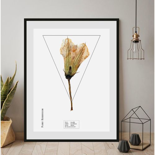 4049009844440 - Bild QUEENCE Cucurbita Bilder Gr B H 30 cm x 40 cm Wandbild Hochformat 1 St gelb Bild Kunstdruck Bilder mit Rahmen