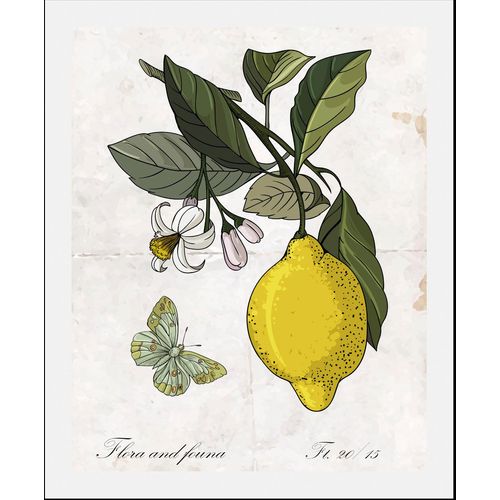 4067437333626 - Bild »Enyo« Obst-Obst Bilder-Essen-Lebensmittel-Kunst-Schriftzug-Schmetterlinge (1 St) gerahmt