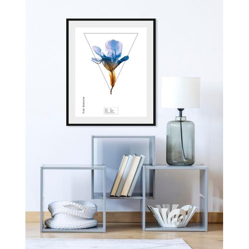 4049009844327 - Bild QUEENCE Iris Bilder Gr B H 30 cm x 40 cm Wandbild Hochformat 1 St blau Bild Kunstdruck Bilder mit Rahmen 4049009844327 - Bild QUEENCE Iris Bilder Gr B H 30 cm x 40 cm Wandbild Hochformat 1 St blau Bild Kunstdruck Bilder mit Rahmen