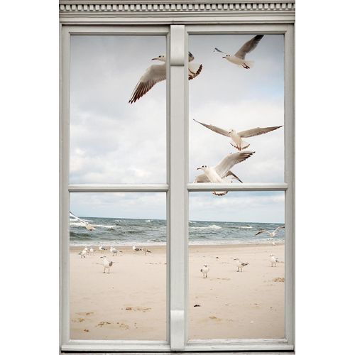 4067437001136 - Leinwandbild QUEENCE Möwen Bilder Gr B H 30 cm x 40 cm Meer-Natur-Vögel Hochformat 1 St beige (natur) Leinwandbilder Premium-Leinwandstoff 4067437001136 - Leinwandbild QUEENCE Möwen Bilder Gr B H 30 cm x 40 cm Meer-Natur-Vögel Hochformat 1 St beige (natur) Leinwandbilder Premium-Leinwandstoff