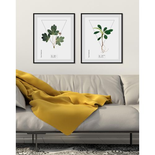 4049009844129 - Bild QUEENCE Terminalia catappa Bilder Gr B H 40 cm x 50 cm Wandbild Hochformat 1 St grün Bild Kunstdruck Bilder mit Rahmen