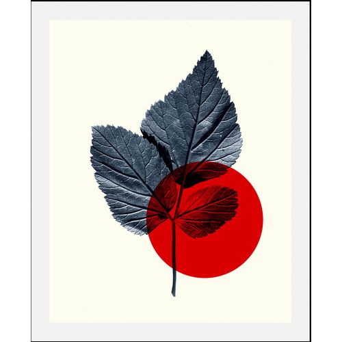 4067437346947 - Bild QUEENCE Focus Bilder Gr B H 40 cm x 50 cm Wandbild Abstrakt Hochformat 1 St rot Kunstdrucke gerahmt