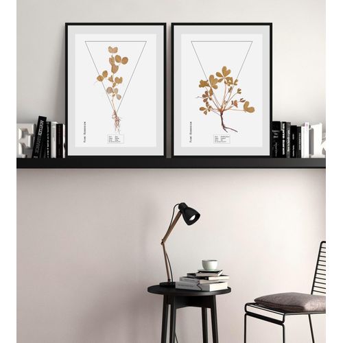 4049009844488 - Bild QUEENCE Potentilla fruticosa Bilder Gr B H 40 cm x 50 cm Wandbild Hochformat 1 St braun Bild Kunstdruck Bilder mit Rahmen 4049009844488 - Bild QUEENCE Potentilla fruticosa Bilder Gr B H 40 cm x 50 cm Wandbild Hochformat 1 St braun Bild Kunstdruck Bilder mit Rahmen