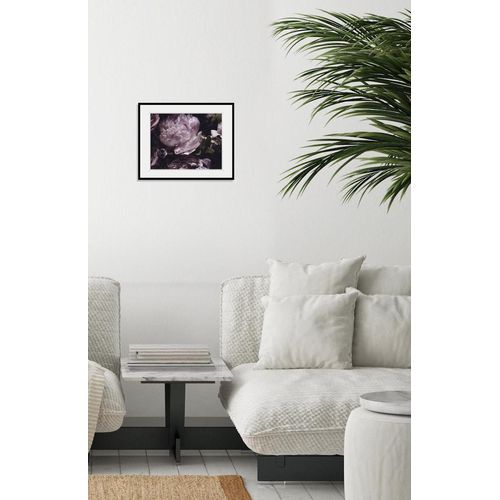 4049009841982 - Bild QUEENCE Shakira Bilder Gr B H 40 cm x 30 cm Wandbild Blumen Querformat 1 St lila Bild Kunstdruck Bilder mit Rahmen