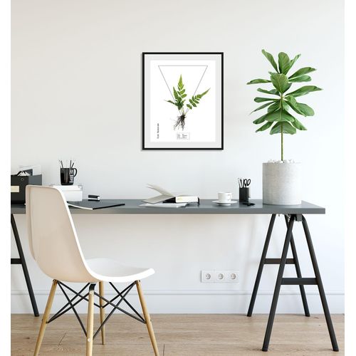 4049009844181 - Bild QUEENCE Pteridophyta Bilder Gr B H 40 cm x 50 cm Wandbild Hochformat 1 St grün Bild Kunstdruck Bilder mit Rahmen 4049009844181 - Bild QUEENCE Pteridophyta Bilder Gr B H 40 cm x 50 cm Wandbild Hochformat 1 St grün Bild Kunstdruck Bilder mit Rahmen