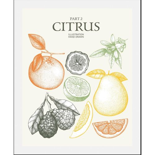 4067437333589 - Bild QUEENCE Citrus Bilder Gr B H 40 cm x 50 cm Wandbild Hochformat 1 St bunt (orange grün gelb) Kunstdrucke gerahmt 4067437333589 - Bild QUEENCE Citrus Bilder Gr B H 40 cm x 50 cm Wandbild Hochformat 1 St bunt (orange grün gelb) Kunstdrucke gerahmt
