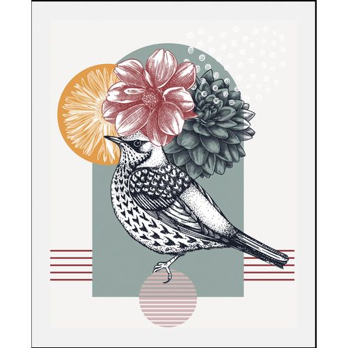 4067437346398 - Bild QUEENCE Birdy rosa (farbe rahmen schwarz farbe bild(er) rosa) B50cm H70cm Acrylglas Papier Holz Bilder gerahmt 4067437346398 - Bild QUEENCE Birdy rosa (farbe rahmen schwarz farbe bild(er) rosa) B50cm H70cm Acrylglas Papier Holz Bilder gerahmt