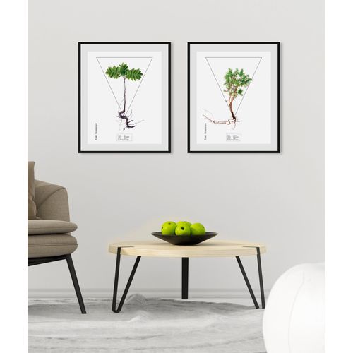 4049009843993 - Bild QUEENCE Juniperus Bilder Gr B H 30 cm x 40 cm Wandbild Hochformat 1 St grün Bild Kunstdruck Bilder mit Rahmen