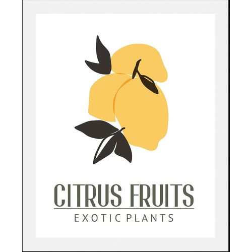 4067437334975 - Bild QUEENCE Citrus Fruits Bilder Gr B H 50 cm x 70 cm Wandbild Hochformat 1 St gelb Kunstdrucke gerahmt