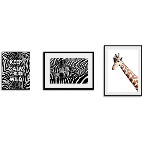 4049009866336 - Bild »Animals« Abstrakt-Schriftzug-Sprüche & Texte-Motivationsbilder-Giraffe-Giraffen-Giraffen Bilder (3 St) gerahmt