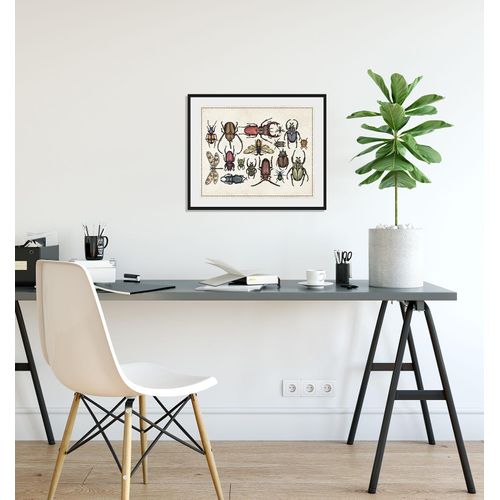 4049009843382 - Bild QUEENCE Das Große Krabbeln 2 Bilder Gr B H 70 cm x 50 cm Wandbild Querformat 1 St bunt Bild Kunstdruck Bilder mit Rahmen