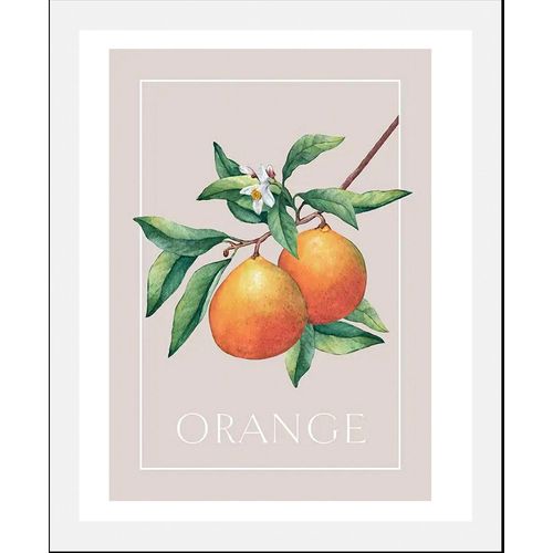 4067437336283 - Bild QUEENCE Orange Bilder Gr B H 40 cm x 50 cm Wandbild Hochformat 1 St orange (orange beige grün) Kunstdrucke gerahmt