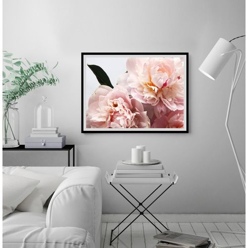 4049009914594 - Bild QUEENCE Runa Bilder Gr B H 40 cm x 30 cm Wandbild Blumen Querformat rosa (schwarz) Kunstdrucke Rosen gerahmt 4049009914594 - Bild QUEENCE Runa Bilder Gr B H 40 cm x 30 cm Wandbild Blumen Querformat rosa (schwarz) Kunstdrucke Rosen gerahmt
