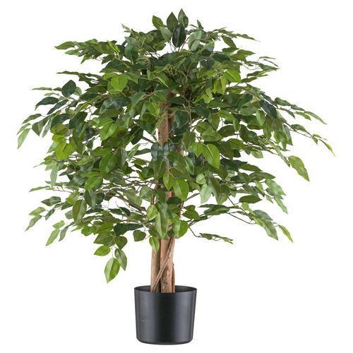 4064118250739 - P & B Kunstpflanze Grün Natur Schwarz Naturmaterialien 85 cm inkl Topf mit Naturstamm Dekoration Blumen & Zubehör Kunstpflanzen 4064118250739 - P & B Kunstpflanze Grün Natur Schwarz Naturmaterialien 85 cm inkl Topf mit Naturstamm Dekoration Blumen & Zubehör Kunstpflanzen