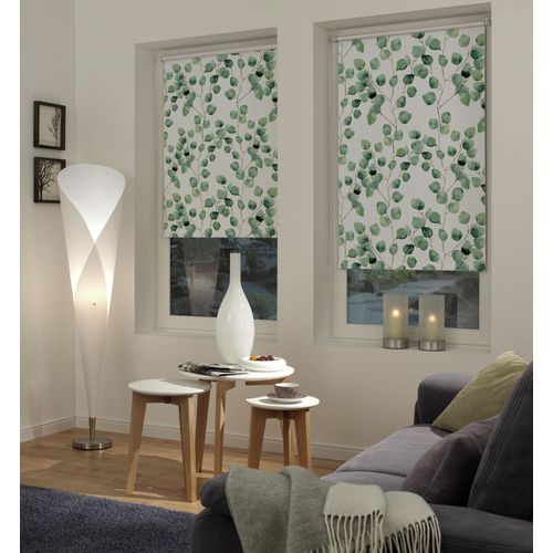4003018365181 - Seitenzugrollo Digiprint Blackout Isabella Rollos Gr 150 cm 80 cm grün (weiß blattgrün) Verdunkelungsrollos abdunkelnder Stoff mit Digitaldruck 4003018365181 - Seitenzugrollo Digiprint Blackout Isabella Rollos Gr 150 cm 80 cm grün (weiß blattgrün) Verdunkelungsrollos abdunkelnder Stoff mit Digitaldruck