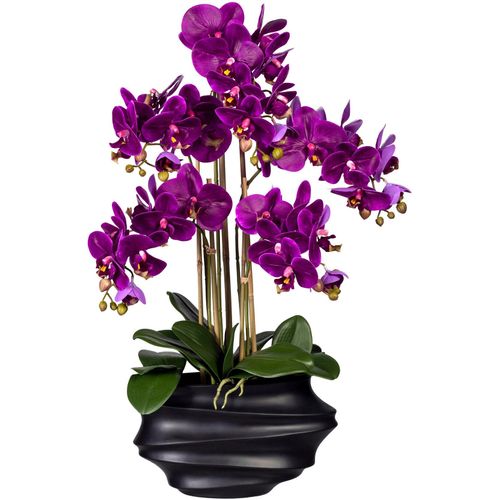 4064118070696 - Kunstorchidee CREATIV GREEN Phalaenopsis Kunstpflanzen Gr H 75 cm 1 St lila Kunst-Orchideen Kunstpflanzen in Design-Kunststoffvase 4064118070696 - Kunstorchidee CREATIV GREEN Phalaenopsis Kunstpflanzen Gr H 75 cm 1 St lila Kunst-Orchideen Kunstpflanzen in Design-Kunststoffvase