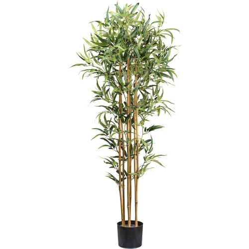 4064118182078 - Kunstbaum Bambus Ficus Benjamini Creativ green Höhe 180 cm mit echten Bambusstäben grün 4064118182078 - Kunstbaum Bambus Ficus Benjamini Creativ green Höhe 180 cm mit echten Bambusstäben grün