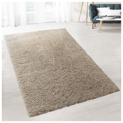 4066088637312 - floordirekt Shaggy-Teppich Prestige Beige