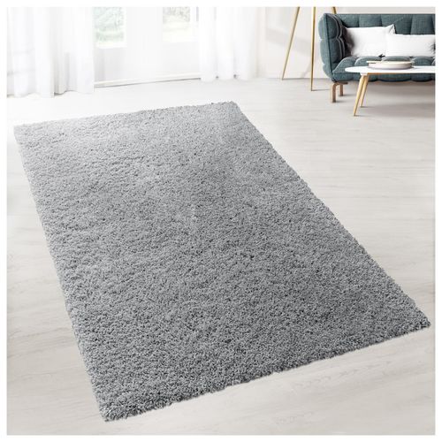4066088637305 - floordirekt Shaggy-Teppich Prestige Silbergrau