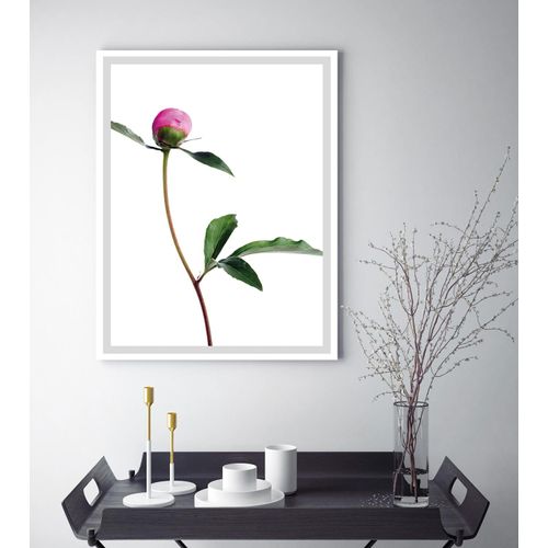 4049009896562 - Bild QUEENCE Manuel Bilder Gr B H 30 cm x 40 cm Wandbild Blumen Hochformat bunt (grün weiß rosa) Kunstdrucke gerahmt Rosen 4049009896562 - Bild QUEENCE Manuel Bilder Gr B H 30 cm x 40 cm Wandbild Blumen Hochformat bunt (grün weiß rosa) Kunstdrucke gerahmt Rosen