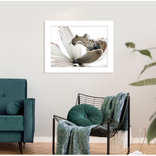 4049009915225 - Bild QUEENCE Herkules Bilder Gr B H 40 cm x 30 cm Wandbild Blumen Querformat weiß Kunstdrucke Rosen gerahmt