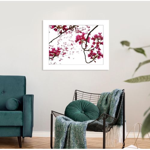 4049009915102 - Bild QUEENCE Roxanne Bilder Gr B H 40 cm x 30 cm Wandbild Blumen Querformat rosa (weiß) Kunstdrucke Rosen gerahmt 4049009915102 - Bild QUEENCE Roxanne Bilder Gr B H 40 cm x 30 cm Wandbild Blumen Querformat rosa (weiß) Kunstdrucke Rosen gerahmt
