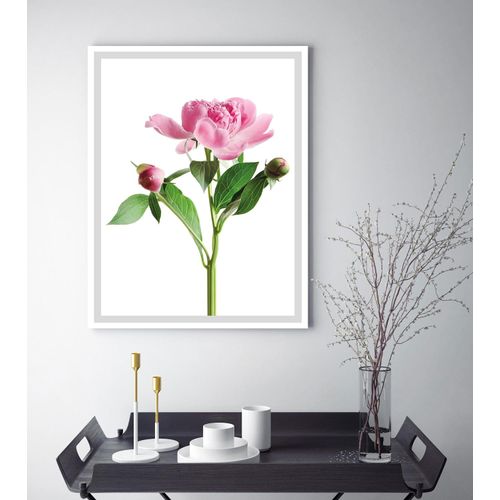 4049009896715 - Bild QUEENCE Gundula Bilder Gr B H 30 cm x 40 cm Wandbild Blumen Hochformat weiß (rosa grün weiß) Kunstdrucke gerahmt Rosen