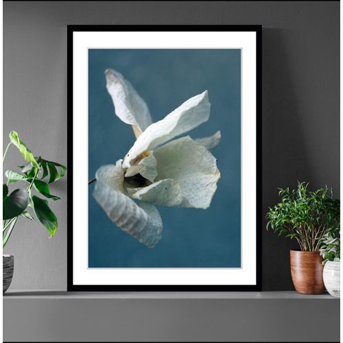 4049009897774 - Bild QUEENCE Amelie Bilder Gr B H 40 cm x 50 cm Wandbild Blumen Hochformat blau (blau weiß) Kunstdrucke Blumen gerahmt 4049009897774 - Bild QUEENCE Amelie Bilder Gr B H 40 cm x 50 cm Wandbild Blumen Hochformat blau (blau weiß) Kunstdrucke Blumen gerahmt