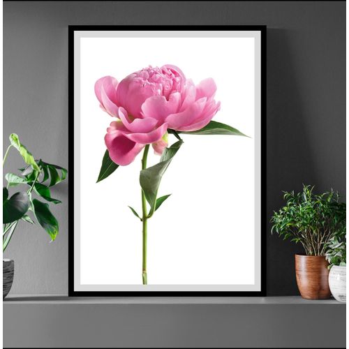 4049009896685 - Bild QUEENCE Gundula Bilder Gr B H 30 cm x 40 cm Wandbild Blumen Hochformat weiß (rosa grün weiß) Kunstdrucke gerahmt Rosen