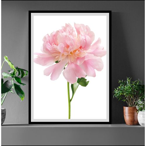 4049009896432 - Bild QUEENCE Beate Bilder Gr B H 50 cm x 60 cm Wandbild Blumen Hochformat bunt (weiß grün rosa) Kunstdrucke Rosen gerahmt