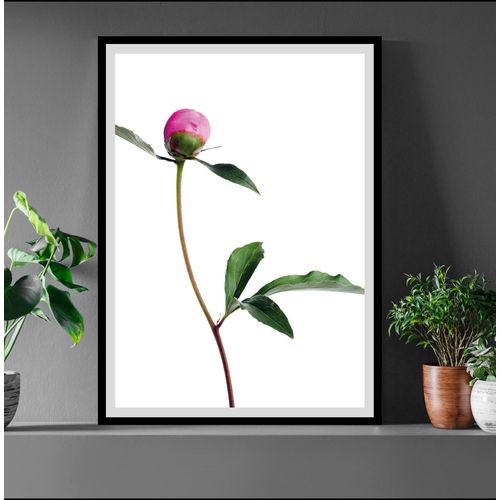 4049009896531 - Bild QUEENCE Manuel Bilder Gr B H 30 cm x 40 cm Wandbild Blumen Hochformat bunt (grün weiß rosa) Kunstdrucke gerahmt Rosen 4049009896531 - Bild QUEENCE Manuel Bilder Gr B H 30 cm x 40 cm Wandbild Blumen Hochformat bunt (grün weiß rosa) Kunstdrucke gerahmt Rosen