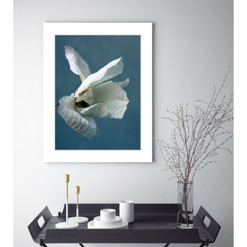 4049009897798 - Bild QUEENCE Amelie Bilder Gr B H 30 cm x 40 cm Wandbild Blumen Hochformat blau (blau weiß) Kunstdrucke Blumen gerahmt