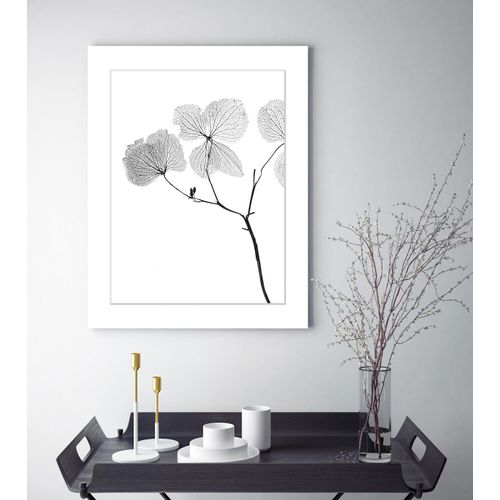 4049009897606 - Bild QUEENCE Kaja Bilder Gr B H 30 cm x 40 cm Wandbild Blumen Hochformat grau (weiß) Kunstdrucke Blumen gerahmt