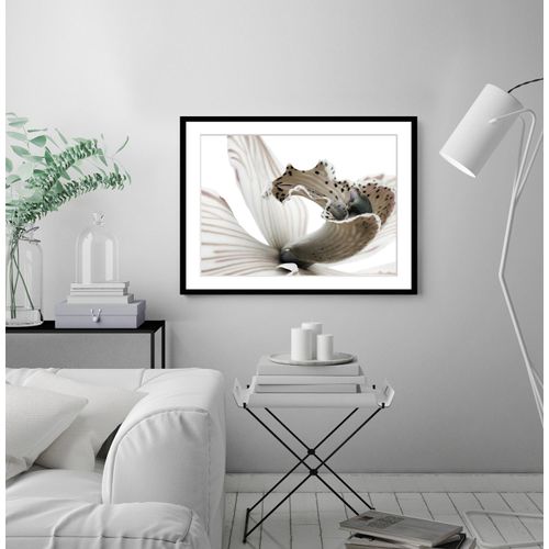 4049009915201 - Bild QUEENCE Herkules Bilder Gr B H 50 cm x 40 cm Wandbild Blumen Querformat weiß (schwarz) Kunstdrucke Rosen gerahmt 4049009915201 - Bild QUEENCE Herkules Bilder Gr B H 50 cm x 40 cm Wandbild Blumen Querformat weiß (schwarz) Kunstdrucke Rosen gerahmt