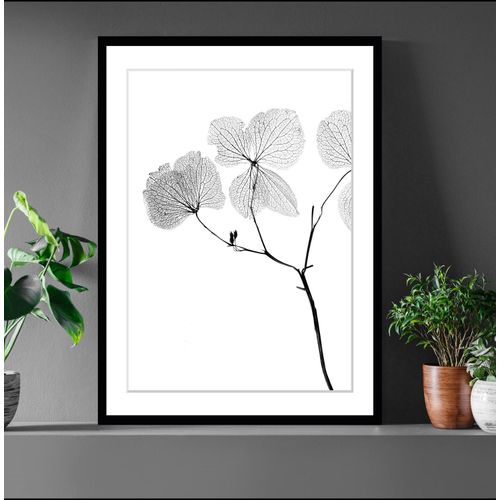 4049009897583 - Bild QUEENCE Kaja Bilder Gr B H 40 cm x 50 cm Wandbild Blumen Hochformat grau (schwarz) Kunstdrucke Blumen gerahmt 4049009897583 - Bild QUEENCE Kaja Bilder Gr B H 40 cm x 50 cm Wandbild Blumen Hochformat grau (schwarz) Kunstdrucke Blumen gerahmt